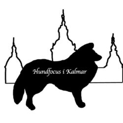 Hundfocus i Kalmar